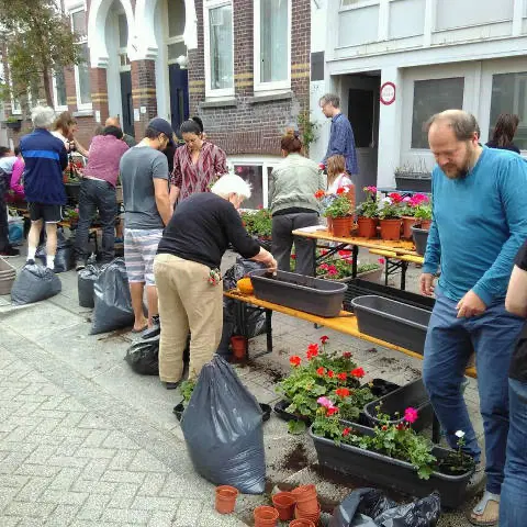 Geraniumdag Jan Sonjéstraat